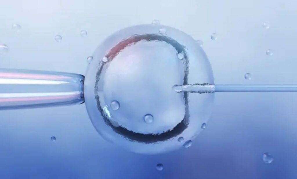 برای اولین بار در بریتانیا دانشمندان کودکی را با DNA سه نفر به دنیا آوردند