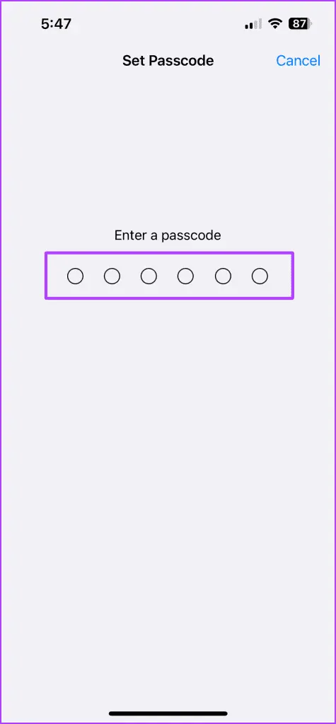 رمز عبور برای Guided Access ترفند آیفون