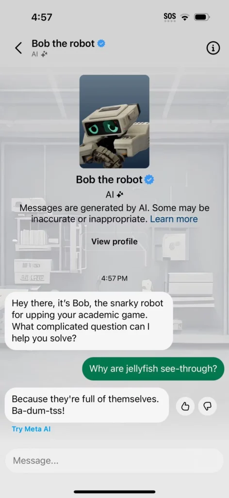 نمونۀ گفت‌وگو با یک ربات در اینستاگرام