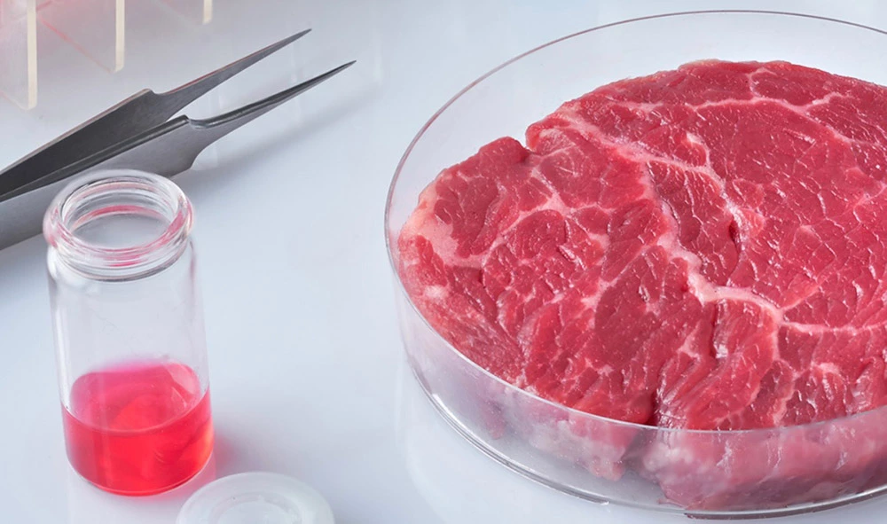 Upside Foods گوشت تولید شده در آزمایشگاه 2023