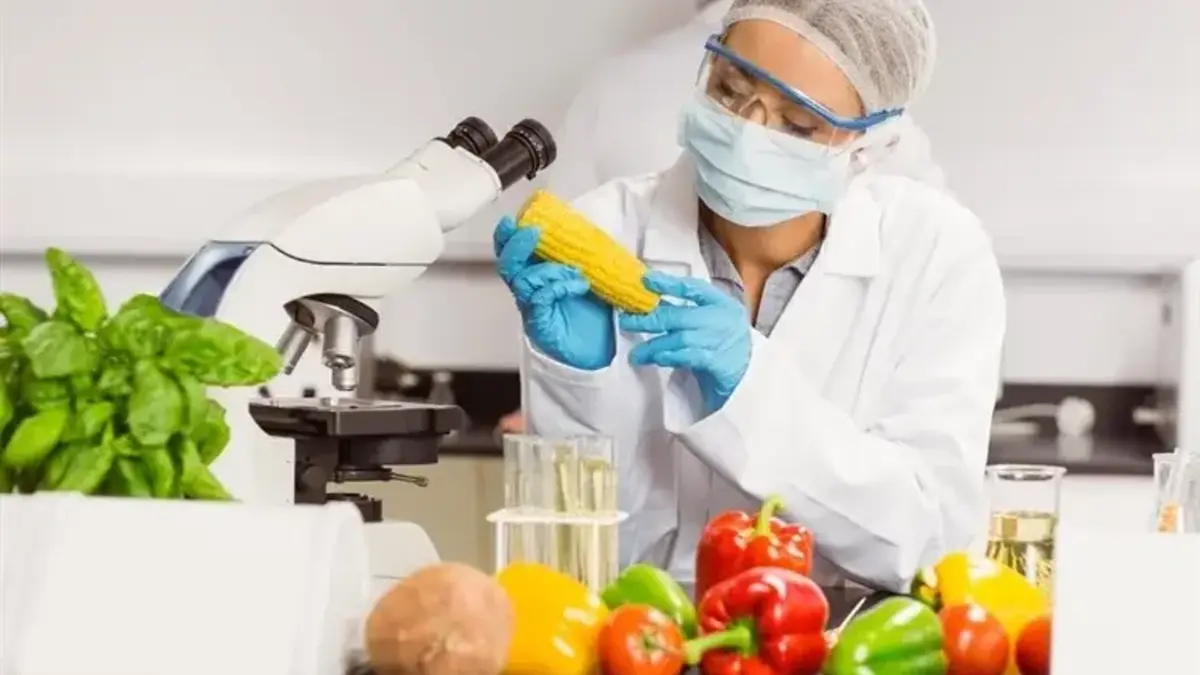 افزایش ماندگاری محصولات غذایی با فناوری نانو