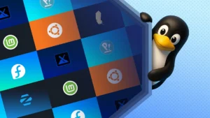 بهترین و بدترین توزیع های لینوکس - دیستورهای لینوکس - لاگ‌مدیا