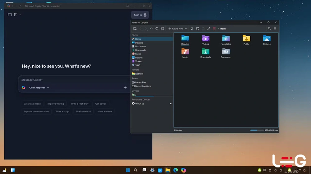 دیستور های ضعیف ویندوز - لاگمدیا